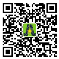 深圳市米乐yy易游新能源有限公司